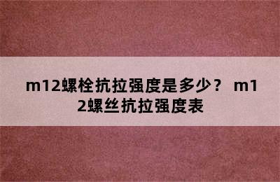 m12螺栓抗拉强度是多少？ m12螺丝抗拉强度表